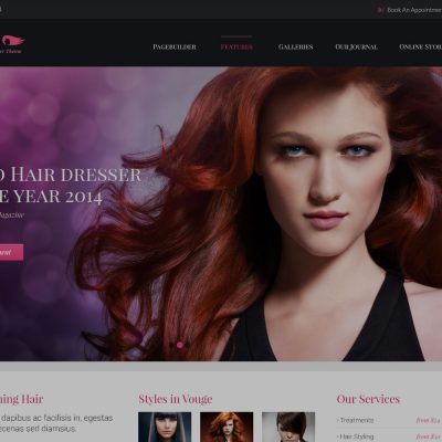 wordpress-salon-business-theme-woostocon